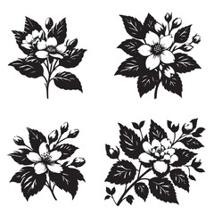 4 SET OF BLACK Vector Silhouette of a Jasmine Flower on White Background