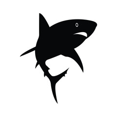 vector illustration of a shark