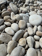 Natural collection of smooth stones on a sunny day by the shore in a serene environment