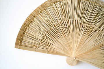 An elegantly displayed woven palm leaf fan against a white backdrop, showcasing detailed patterns and textures that embody artisanal craftsmanship and traditional design for decor.