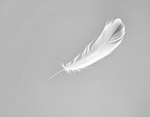 Obraz premium Isolated White Feather Floating on Gray Background Symbolizing Lightness