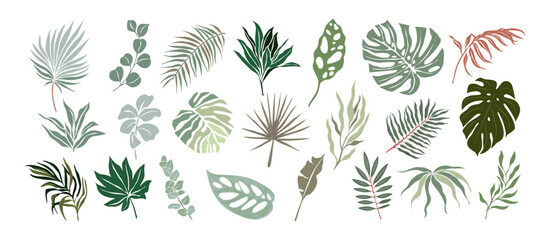 Set of Different tropical leaves elegant colorful vector drawings. Hand drawn botanical illustrations for greeting, invitation cards, logo, packaging design isolated
