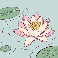 pink water lilies