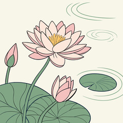 vector illustration of lotus flower