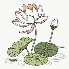 vector illustration of lotus flower
