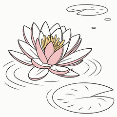vector illustration of water lily