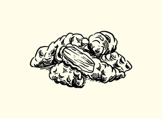 Illustration of an Fried Chicken Nugget Handdrawn