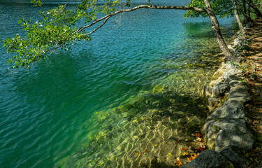 Blue Pond with tranquil transparent waters in the background. Beautiful nature lake. Landscape Reflection off of a clear lake water surface on a bright sunny day. Calm river in the forest.