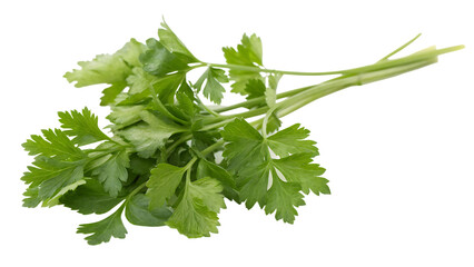 Obraz premium Fresh Parsley Herb Bunch, Isolated on White Background as Transparent PNG, AI-Generated