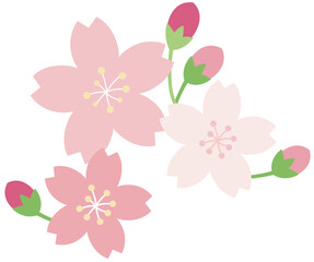 벚꽃, 봄 이미지