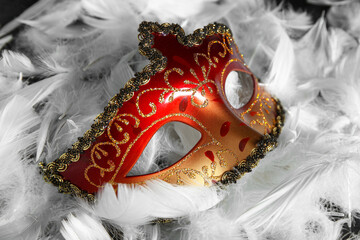 Beautiful carnival mask and feathers on black background