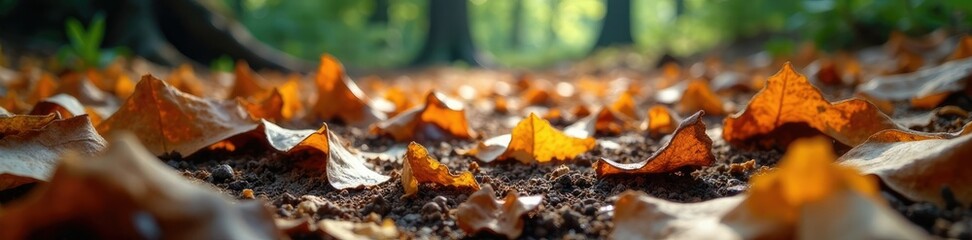 crinkled paper scraps scattered on forest floor, texture, decay, leaves