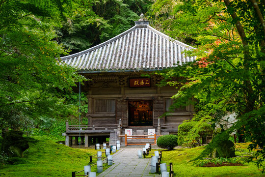 This is a traditional Japanese temple surrounded by lush green trees and a moss-covered path, creating a serene and peaceful atmosphere.