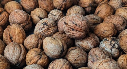 The nut is big. Photo background made of natural material. The common name is the large walnut, which completes the formation of the fruit in autumn