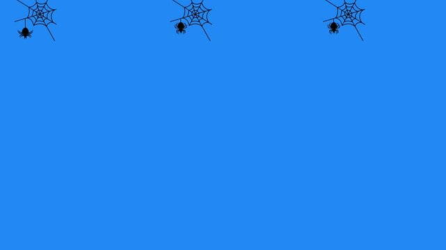 Halloween ghost horror symbolic spider blue screen.