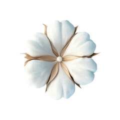 White Fluffy Flower