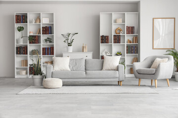 Interior of modern living room with sofa, armchair and bookshelves