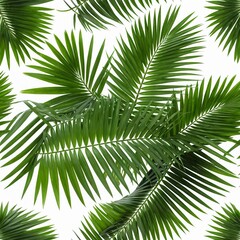 Obraz premium Lush Green Palm Fronds Isolated on White