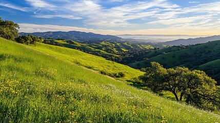 Fototapeta premium Spring Wildflower Hills Landscape