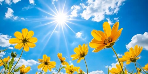 Vibrant yellow flowers bloom under a sunny blue sky and fluffy white clouds.