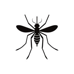 mosquito vector illustration