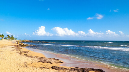 Tropical view of palms, beach and Mediterranean sea near Paphos City, Cyprus island.