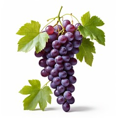 Fresh Bunch of Red Grapes with Green Leaves