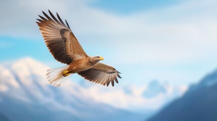 Fototapeta premium eagle soaring high above the mountains, wings spread wide, cinematic and breathtaking