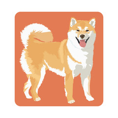 cute Shiba inu vector