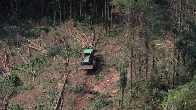 Aerial tracking left reveals harvester machine working in forest clearing, surrounded by stumps and scattered vegetation, clearcutting destruction