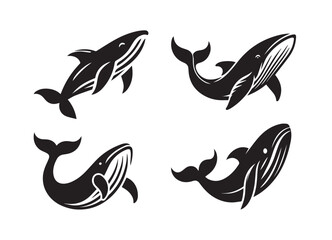 Whale fish black solid silhouette vector logo icon design on white background, bundle set
