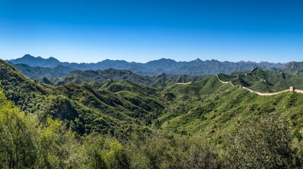 Obraz premium A serene panoramic view of the Great Wall of China snaking through lush green mountains under a clear blue sky,