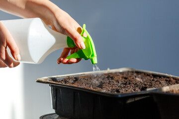 A person is spraying water on a plant