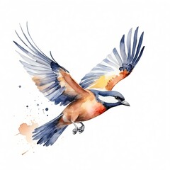 Obraz premium Watercolor Painting of a Bird in Flight