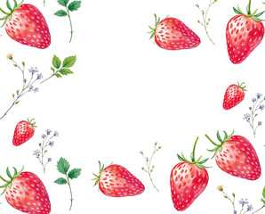 The illustration of strawberries and flowers in frame with copy space, colored pencil drawing style on white background