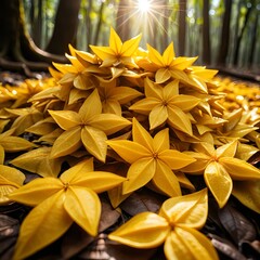 Obraz premium Golden Starfruit Pile in Sunlight