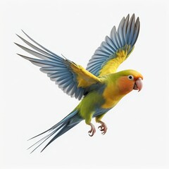 Flying Parrot, Yellow-Collared Lovebird in Flight