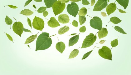 Fototapeta premium Falling Green Leaves on a Light Green Background