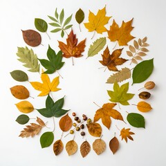 Fototapeta premium Autumn Leaves Circle Frame
