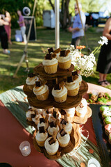 Wedding s'mores cupcakes  on rustic tray