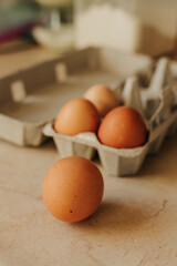 Brown speckled egg sits in front of egg carton on kitchen counter