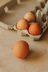 Brown speckled egg sits in front of egg carton on kitchen counter
