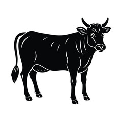 black and white cow