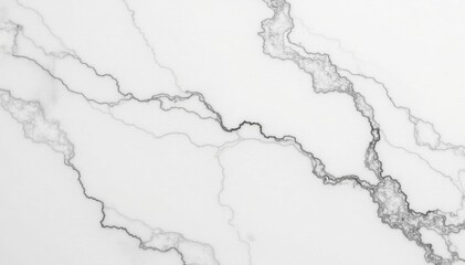 Obraz premium White marble slab with delicate grey veins, elegant and luxurious, background, natural, surface