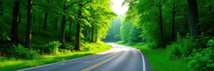 Fototapeta premium A winding road passes through a lush green forest, landscape, countryside