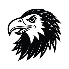 eagle head vector illustration