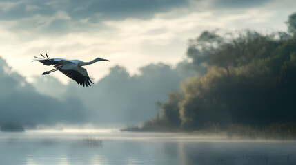 Obraz premium A majestic seagull gracefully flying over a calm river, surrounded by lush green forest.