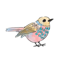bird on branch