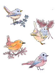 Fototapeta premium set of birds