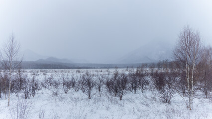 日本周遊　厳冬‐10度の奥日光あたり